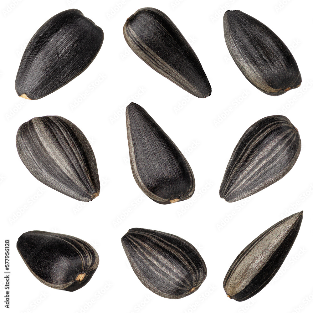 set of dry sunflower seeds isolated on white set of dry sunflower seeds isolated on white