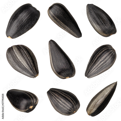 set of dry sunflower seeds isolated on white