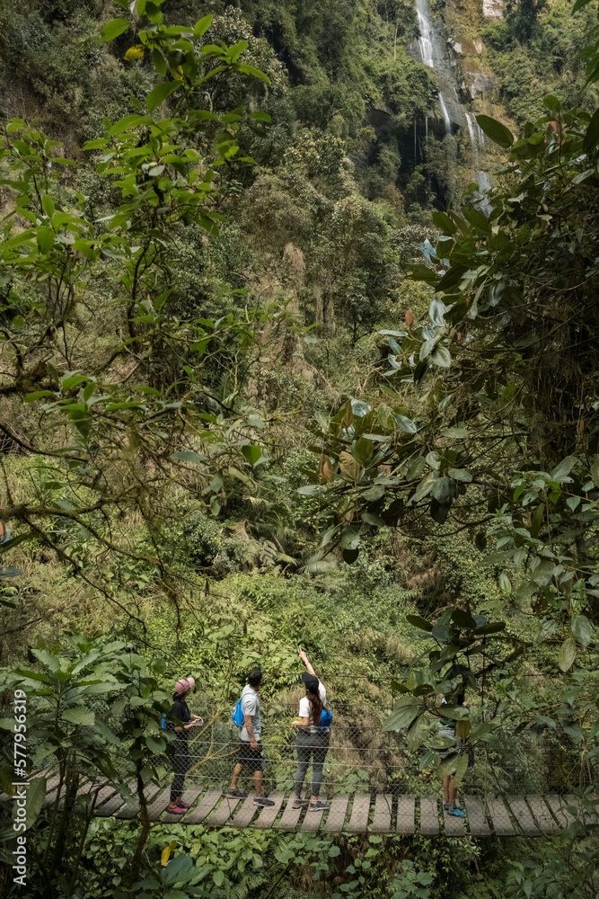 Hikers looking up to the Waterfall in Colombia whilst standing on a wooden bridge Hikers looking up to the Waterfall in Colombia whilst standing on a wooden bridge