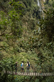 Hikers looking up to the Waterfall in Colombia whilst standing on a wooden bridge