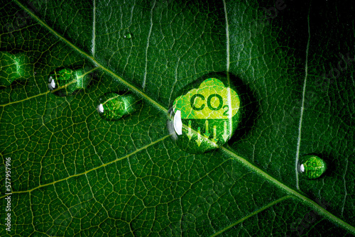 CO2 reducing icon on green leaf with water droplet for decrease CO2 , carbon footprint and carbon credit to limit global warming from climate change, Bio Circular Green Economy concept. photo