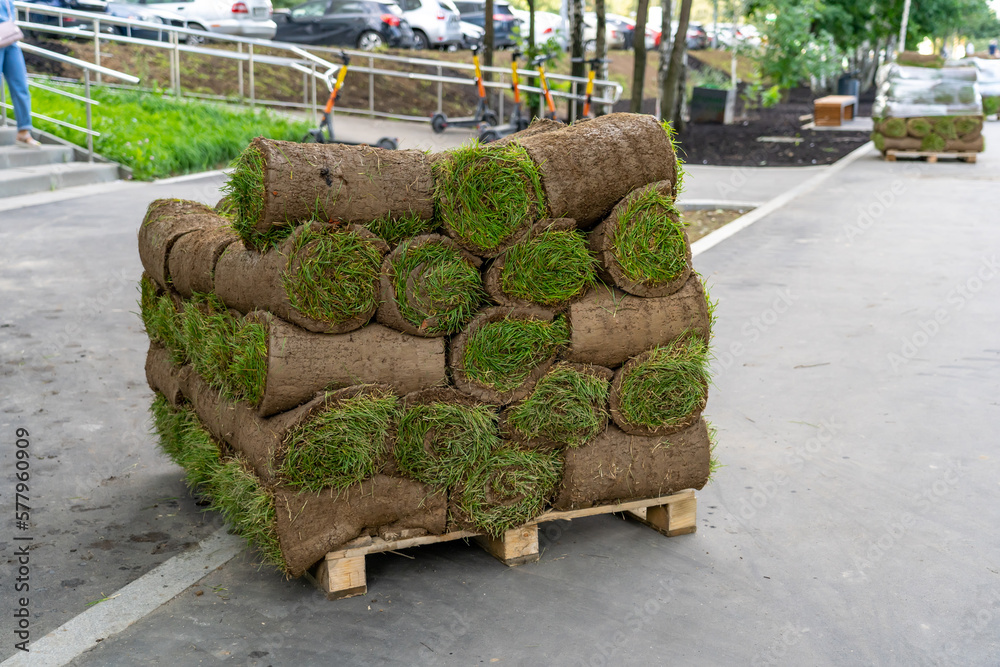 Foto Stock Pallet with stack of turf grass rolls to decorate landscape