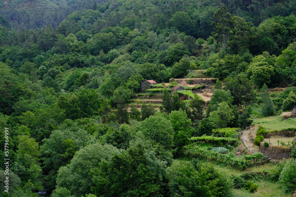 Agricultural terraces in Sistelo Village in Arcos de Valdevez, Portugal (famous Tibet style landscape view). Rural tourism and relaxing with nature. One of the most beautiful villages in Portugal Agricultural terraces in Sistelo Village in Arcos de Valdevez, Portugal (famous Tibet style landscape view). Rural tourism and relaxing with nature. One of the most beautiful villages in Portugal