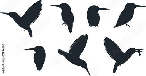 Kingfisher bird silhouette. Isolated kingfisher bird on white background