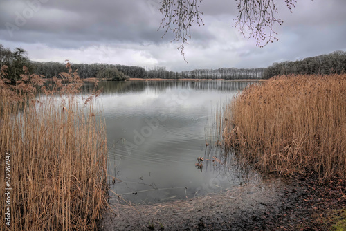 A winter scenic wide angle view on the calm Kraenepoel lake in Aalter, Flanders
