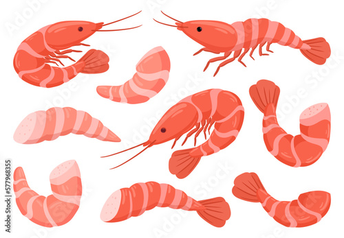 Cartoon shrimps. Raw or boiled seafood, tiger shrimps meat, king prawns without shell flat vector illustration set. Ocean shrimps collection