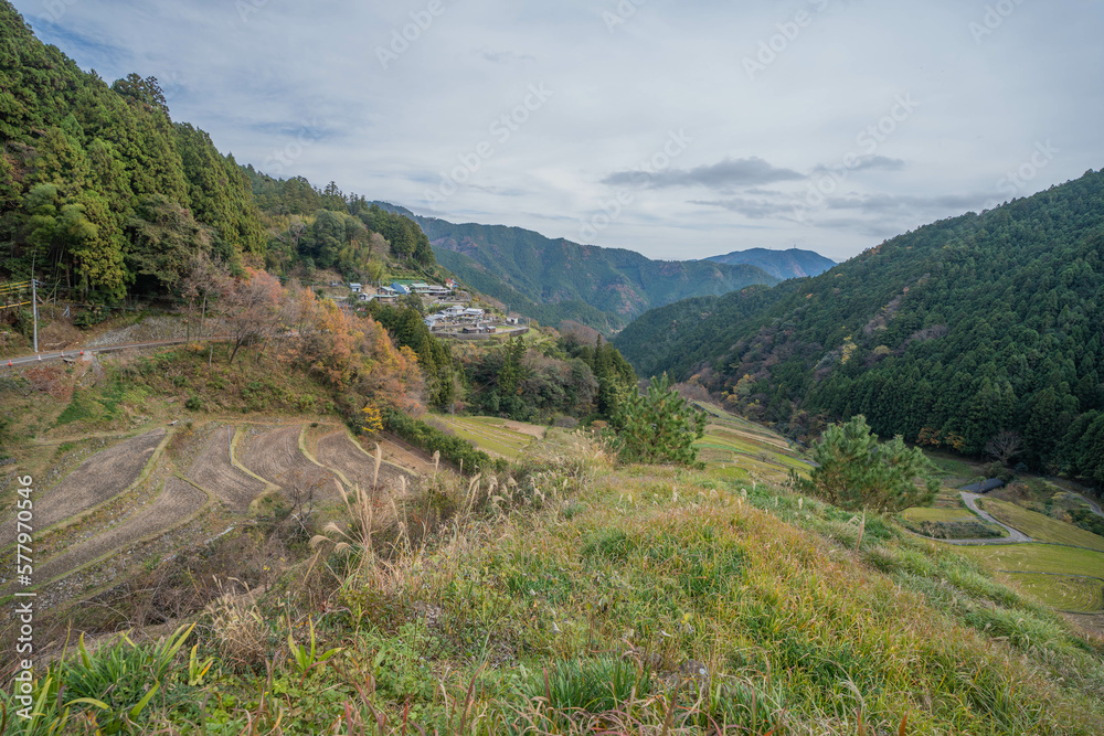 Naklejka premium 府殿の棚田