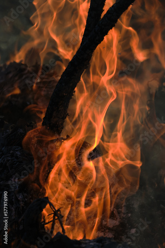 Fire flame burning closeup background