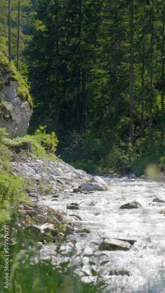 Pristine nature, mountain stream, green trees and rock, Alps, vertical short background Pristine nature, mountain stream, green trees and rock, Alps, vertical short background