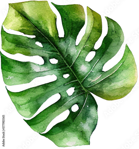 Monstera Leaf Watercolor Illustration. Generative AI photo