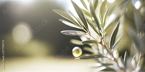 Closeup of olive fruit on tree branch. Olive garden and sunlight background design. AI Generated photo