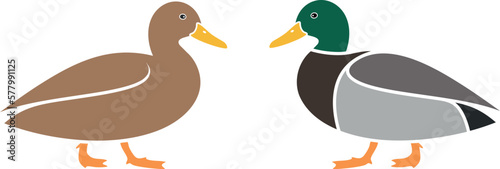 Duck logo. Isolated duck on white background. Bird