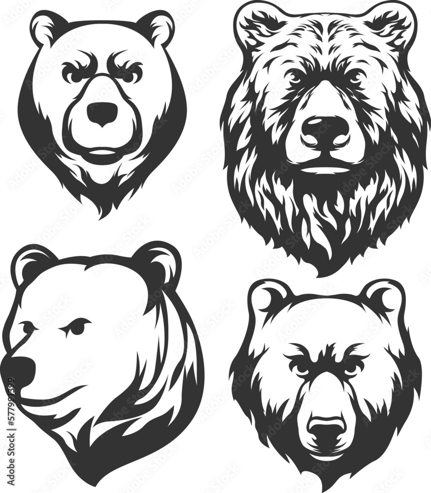 Head of bear. Abstract character illustration variant set. Graphic logo design template for emblem. Image of portrait. Head of bear. Abstract character illustration variant set. Graphic logo design template for emblem. Image of portrait.