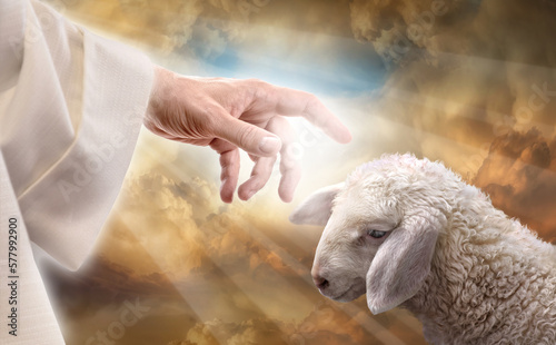 Canvas Print God reaching out to a lost sheep. Religious conceptual theme.