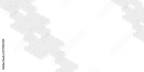 Background with hexagons . Abstract background with lines . white texture background . white and hexagon abstract background. white paper texture and futuristic business .