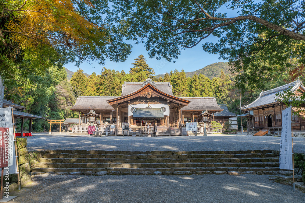 Obraz premium 土佐神社