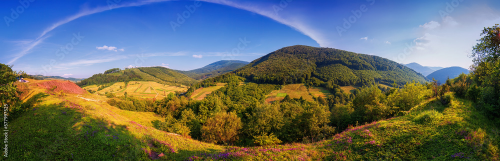 Mountain panorama, flowers, blue sky and white clouds