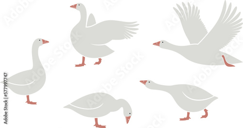 Goose logo. Isolated goose on white background. Bird