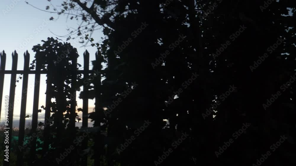Tree Fence Silhouetted Sideways Branches onto Open Sky