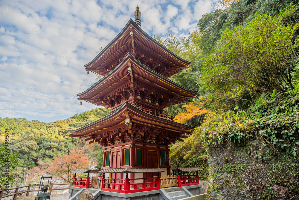 Fototapeta premium 青龍寺