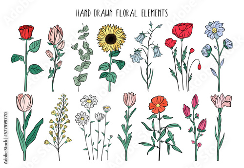 Hand drawn set of blooming flower, herb, plant, wildflower, leaves. Decorative floral summer collection, colorful sketch elements. Botanical doodle vector illustration isolated on a white background