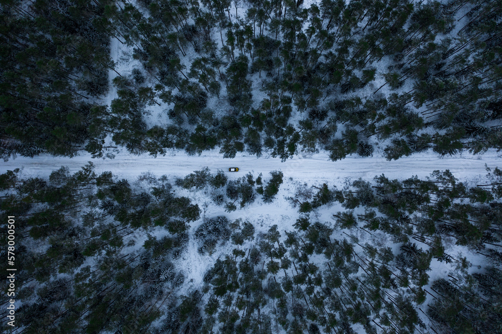 Car in the middle of snowy in the forest in winter Car in the middle of snowy in the forest in winter