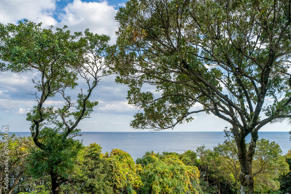 Obraz premium 井の岬