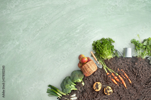 Organic fruit and vegetable garden patch