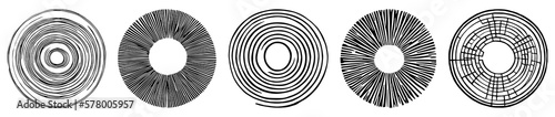 Abstract tree rings. Png concept for background. Thin black lines on white.