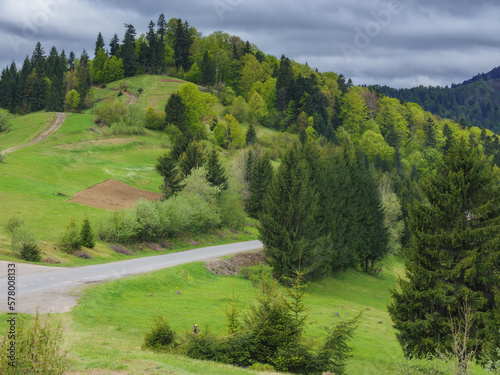 mountainous countryside of ukrainian carpathians. grassy meadows and forested hills