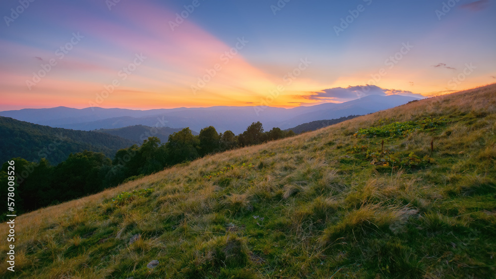 green mountain scenery. meadows and forested hills beneath a sky with clouds. warm summer scenery at dusk