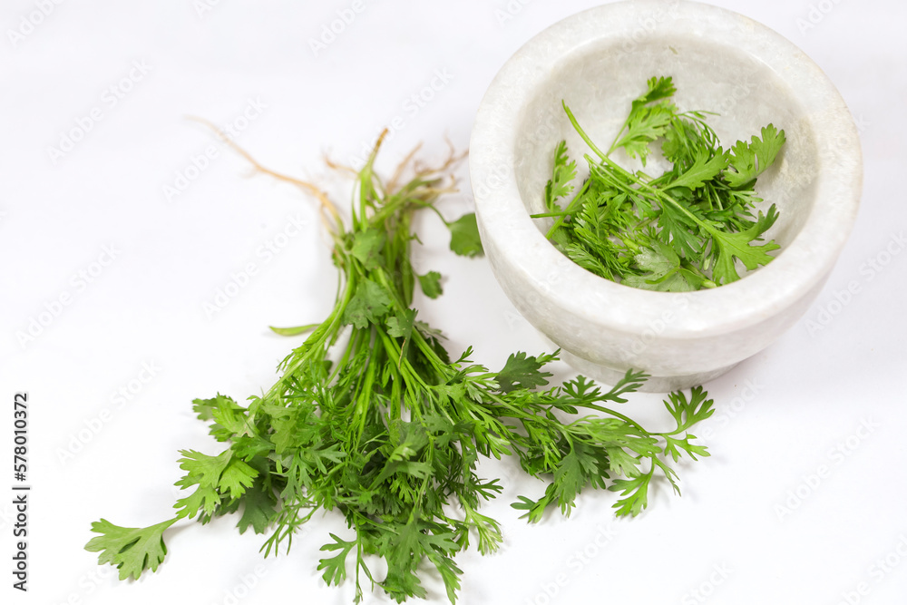Coriander is an annual herb in the family Apiaceae. It is also known as