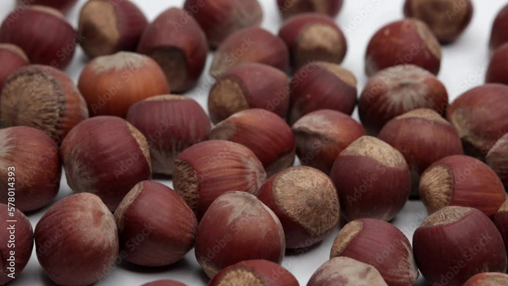 Hazelnuts On A White Background. Panning Dolly Slider Shot. Top View. 4k, 60 FPS. Hazelnuts On A White Background. Panning Dolly Slider Shot. Top View. 4k, 60 FPS.