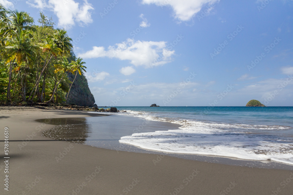 black sand beach and palm trees black sand beach and palm trees