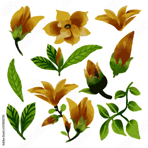 Fototapeta Vector Botanical set of wild flowers set of separate parts and bring together to