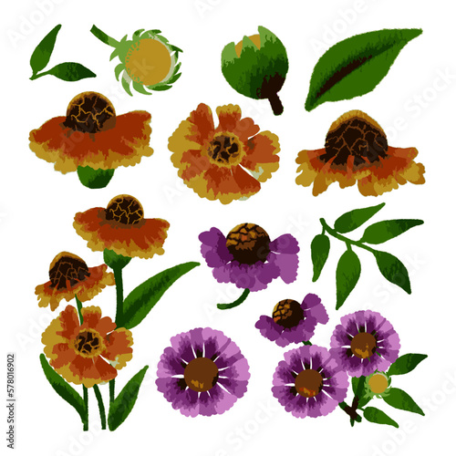 Vector Botanical set of wild flowers set of separate parts and bring together to beautiful bouquet of flowers in water colours