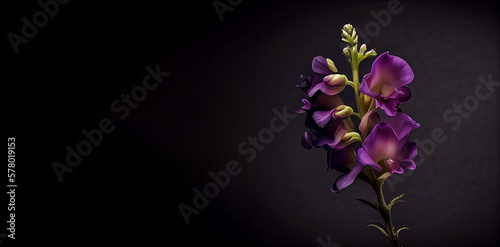 Dark purple snapdragon in black background generative ai