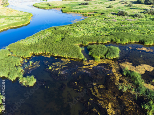 Aerial view of swamp in summer.