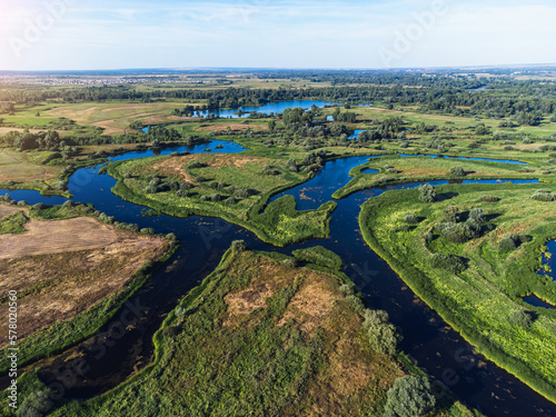 Aerial view of river channels in summer.