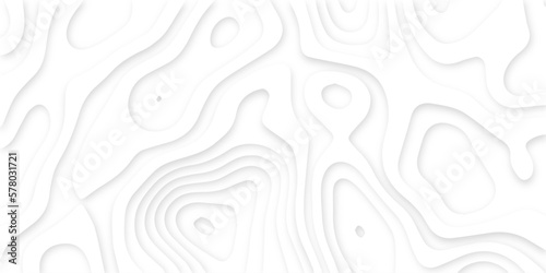 Abstract wavy line 3d paper cut white background. Topographic canyon geometric map relief texture with curved layers and shadow. Abstract realistic papercut decoration textured with wavy layers	
