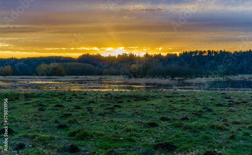 Nisqually Wetlands Golden Sunset