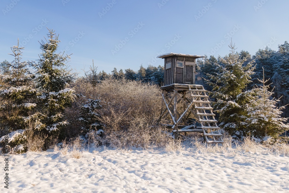 Hochschitz eines Jägers im Wald mit Schnee Hochschitz eines Jägers im Wald mit Schnee
