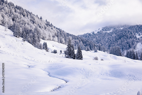 Beautiful snow covered winter landscape with with mountains and white trees in German Alps. Frozen creekriver in foreground. Background for screen. Cloudy sky.  © Jens