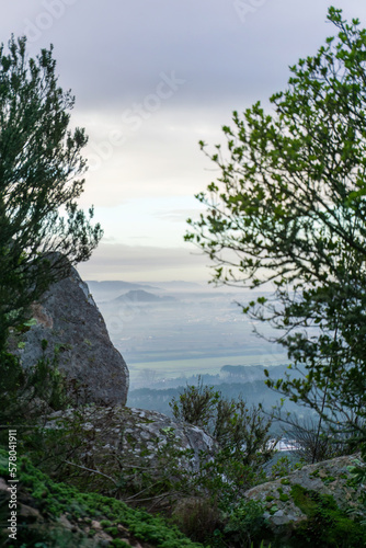 Wallpaper Mural View from behind the rocks and trees to the hills, forests and fields in the predawn fog Torontodigital.ca
