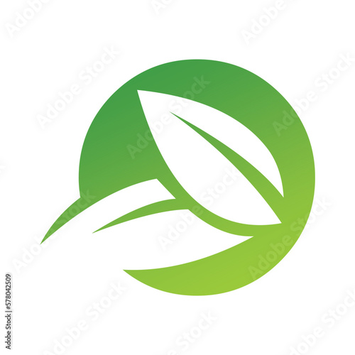 green ecology logo leaf design