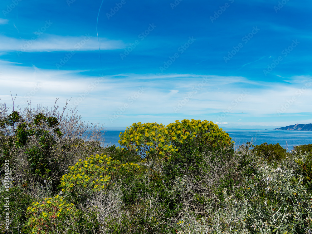 Panorama from the island of Giannutri towards the island of Giglio in the Tuscan archipelago Italy