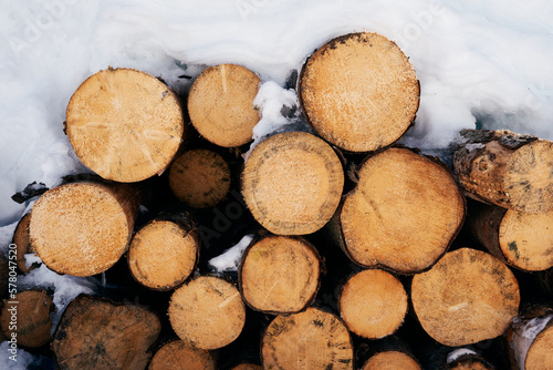 a timber stack of spruce in winter