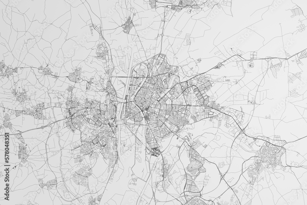Map of the streets of Seville (Spain) on white background. 3d render, illustration