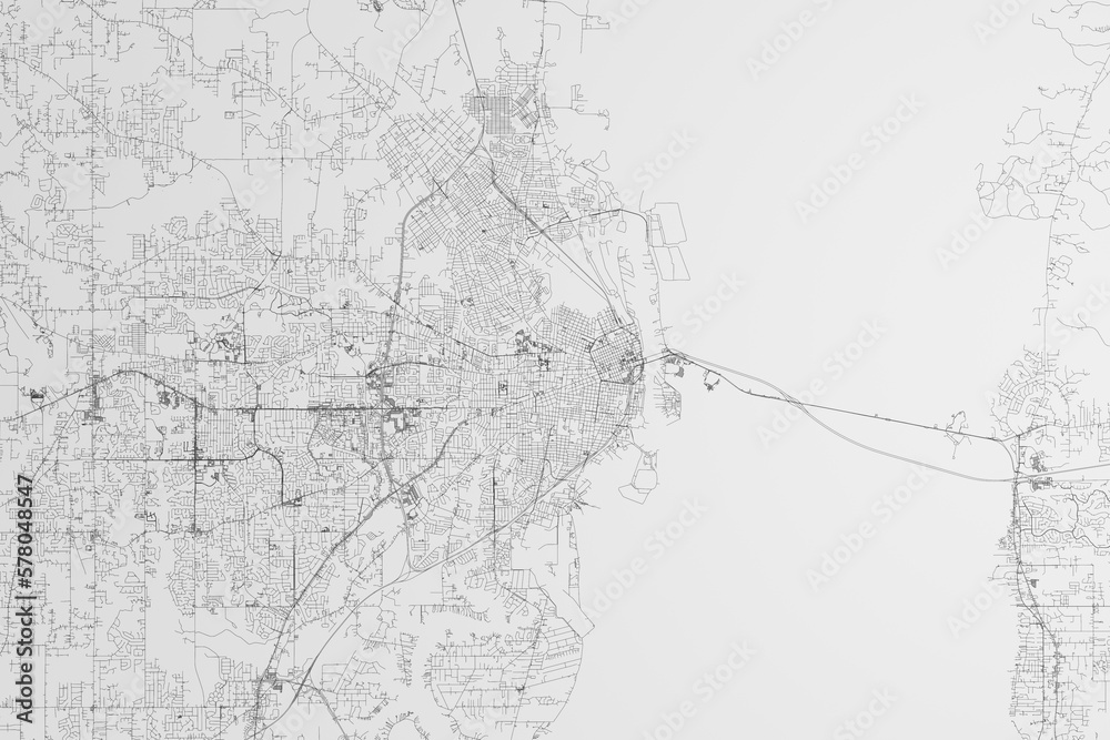 Map of the streets of Mobile (Alabama, USA) on white background. 3d render, illustration