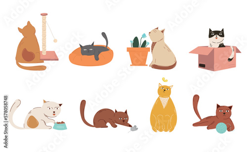 Set of playful cats. Collection of graphic elements for website. Kittens and pets with box, scratching post, butterfly and ball. Cartoon flat vector illustrations isolated on white background